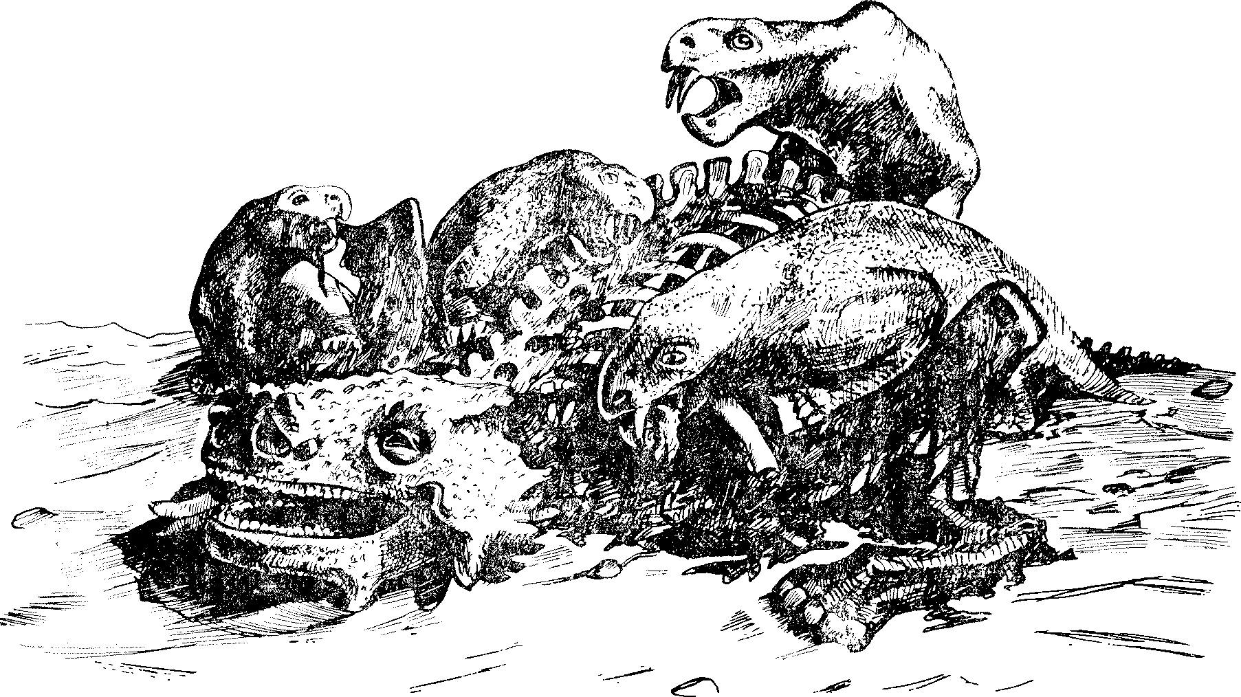 Дицинодонты поедают труп парейазавра (Время Великих Озер на Северной Двине) — по рисунку А.П. Быстрова