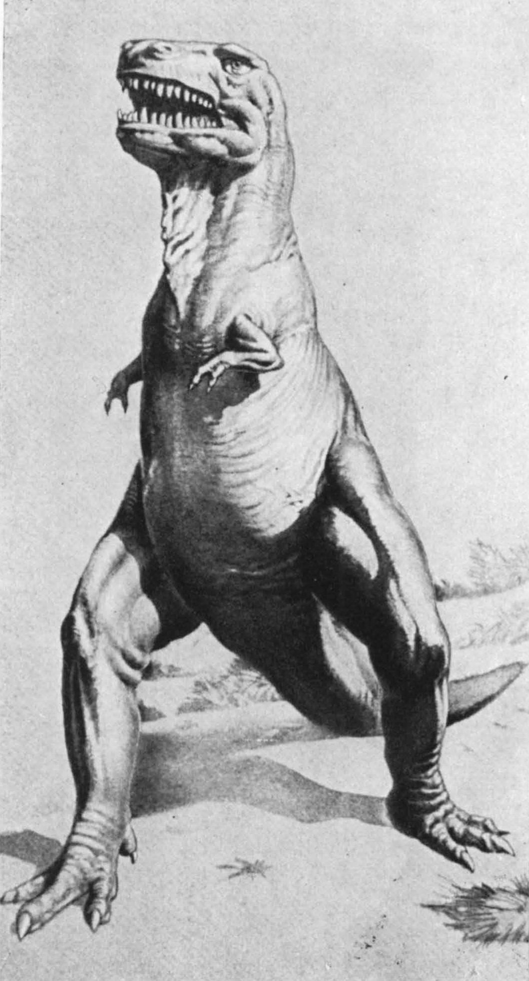 Рис. XXVII. Тираннозавр (Tyrannosaurus). Реконструкция внешнего вида (W.E. Swinton, 1964)